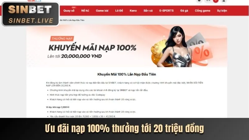 Hoàn trả hàng ngày 5sao